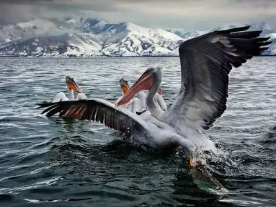 «Μποτιλιάρισμα» στους αιθέρες: