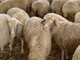 ΥΠΑΑΤ: 45 Έκτακτες Προσλήψεις