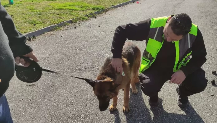 Διμηνιαίος απολογισμός Ελέγχων Ζώων