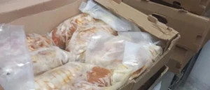 1000_886f305f-c993-4297-b800-708afd0f84b7