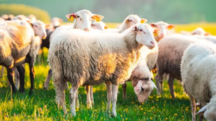 ΥΠΑΑΤ: Καμία χαλάρωση στην εφαρμογή