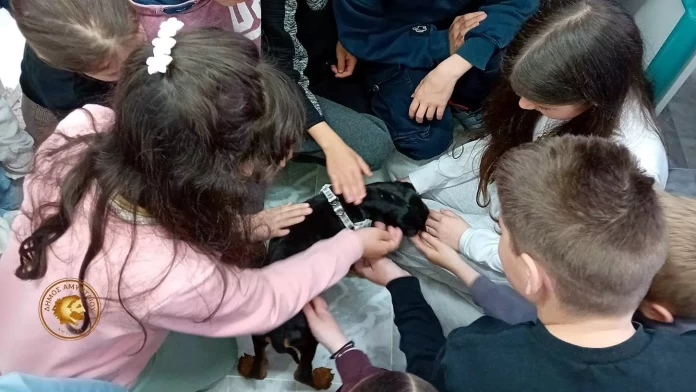 Ο Δήμος Αμυνταίου «ανοίγει»