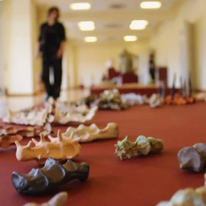 672682137_122164260680668860_4659913124051639220_n