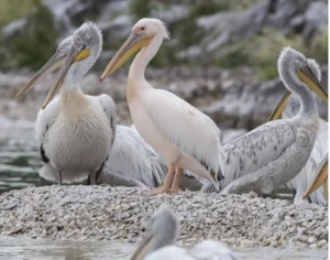 Χωρίς τίτλο