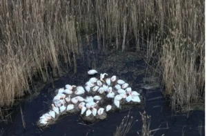 Χωρίς τίτλο