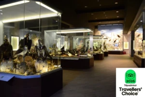 meteora museum 5o stin europi - diethnis diakrisi (4)