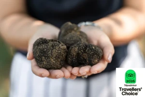 meteora museum 5o stin europi - diethnis diakrisi (5)