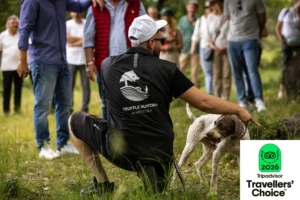 meteora museum 5o stin europi - diethnis diakrisi (6)