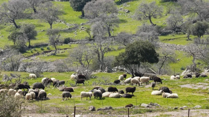 «ΑΣΠΙΔΑ» ΣΤΗΡΙΞΗΣ ΓΙΑ ΤΗ ΛΕΣΒΟ